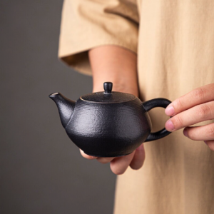 handheld view of handcrafted 6oz japanese black clay teapot