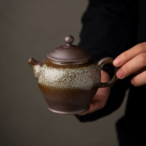 handcrafted 6oz japanese clay teapot with built-in infuser, overall view
