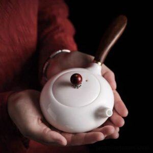 full side view of 6.4oz japanese kyusu teapot with wooden handle